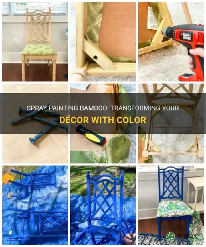 Can you spray paint bamboo?