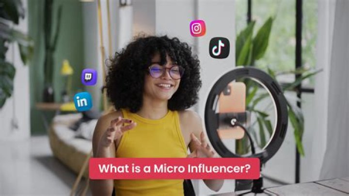 How many micro influencers are there?