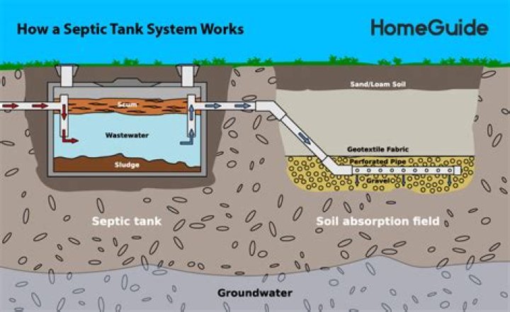 How much does it cost to remove an old septic tank?
