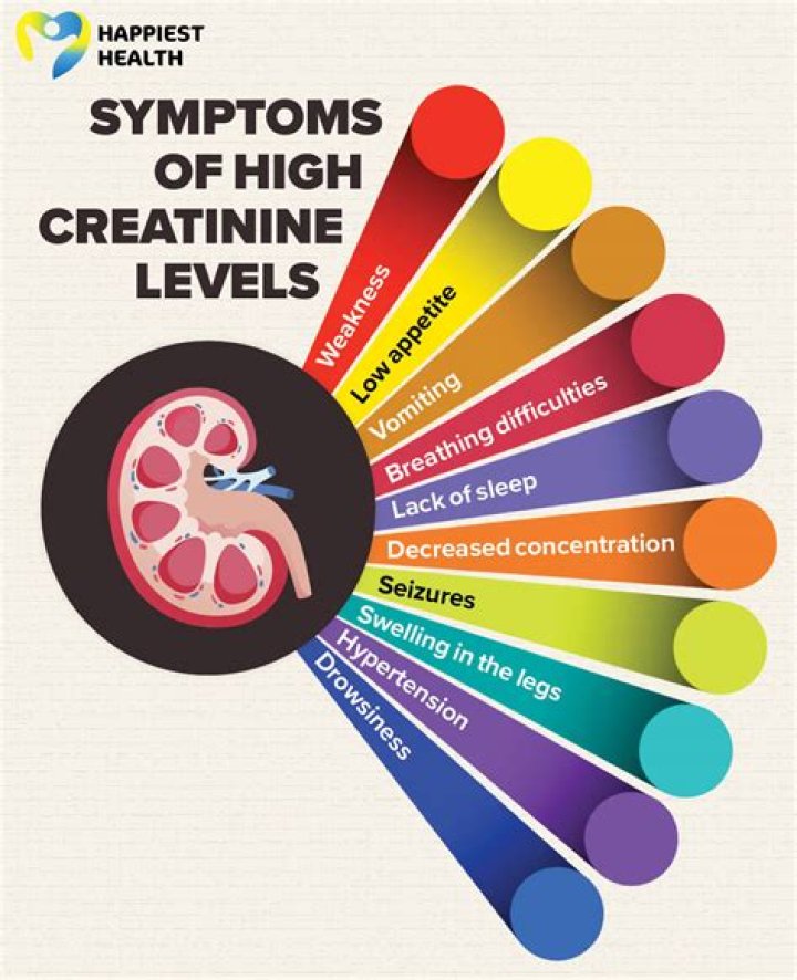 What does it mean if you have a high creatinine level?