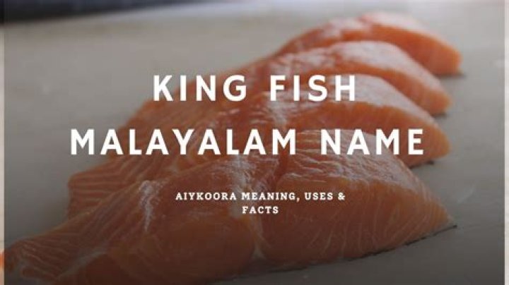 What is the name of king fish?