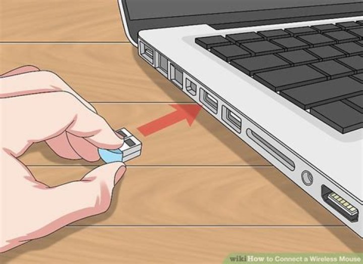 Where does mouse plug into computer?
