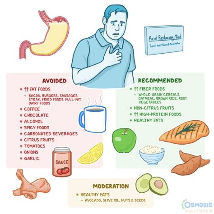 Which type of food is most effective in slowing down the alcohol absorption process?